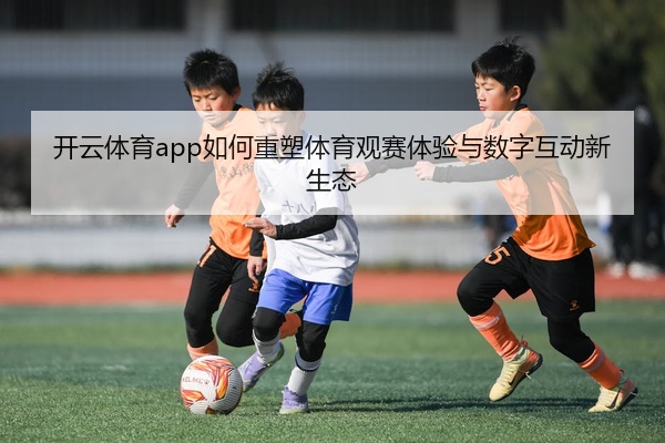 img_1777454163626_209_1_817.jpg